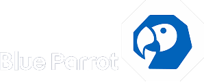 Blue Parrot